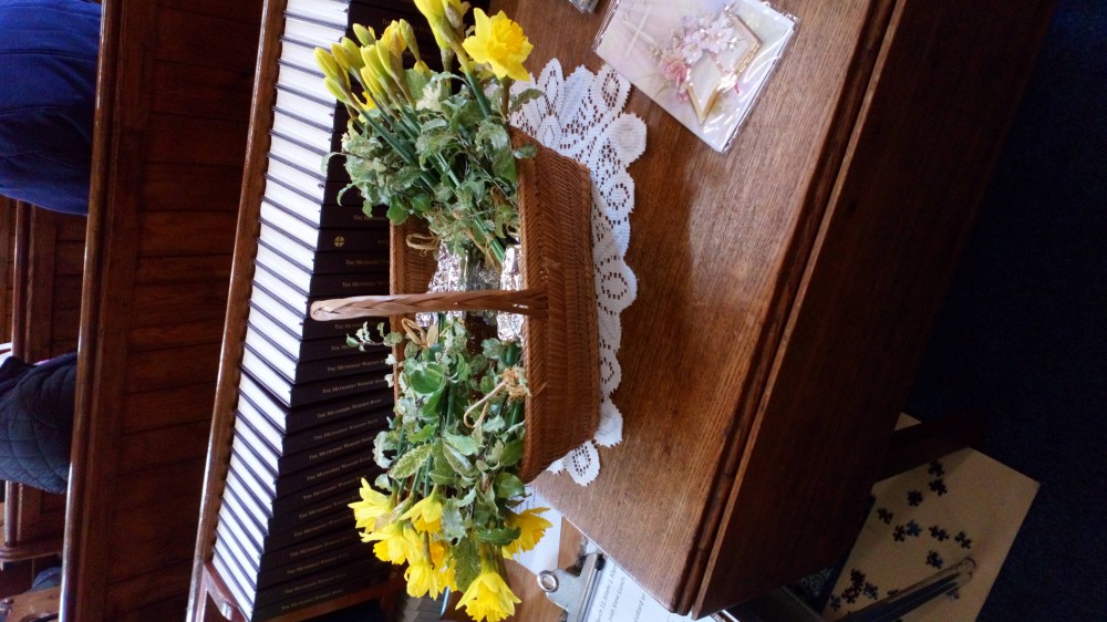 Daffodil Basket on Mothering Sunday
